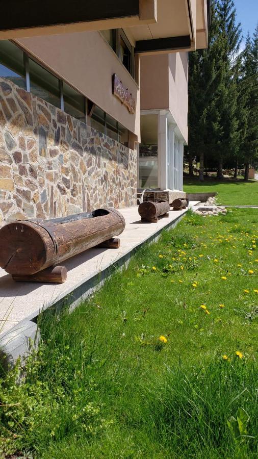 Studio In Residencia Maresme Neu - La Molina 拉莫利纳 外观 照片